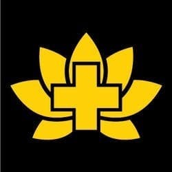 Lotus Gold - Nicoma Park