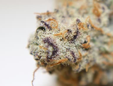 Three Rivers Dispensary - REC