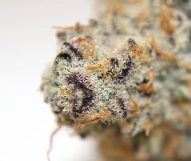 Three Rivers Dispensary Pueblo West