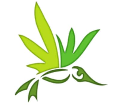 Altitude Organic Medicine - Platte Ave