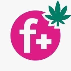 Flamingo+Cannabis - Brandon