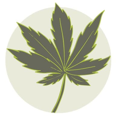 Ganja Garden