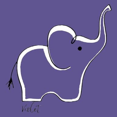 Violet - Walnut Creek