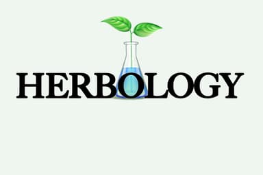 Herbology - South Modesto
