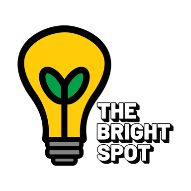 The Bright Spot