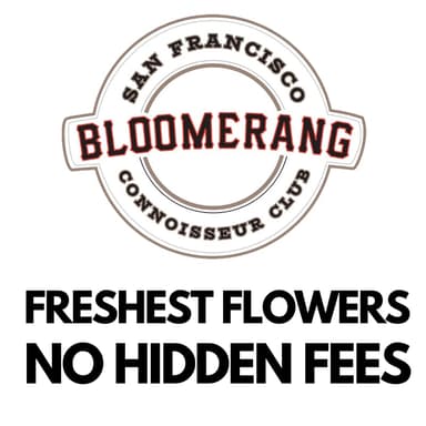 Bloomerang