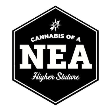 Northeast Alternatives - New Bedford
