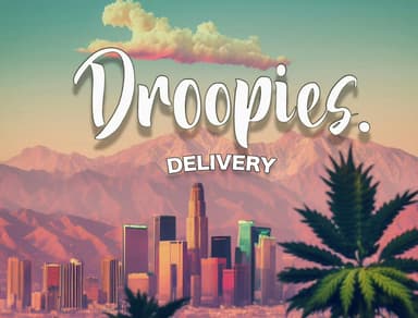 Droopies LLC