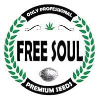 Free Soul Seeds