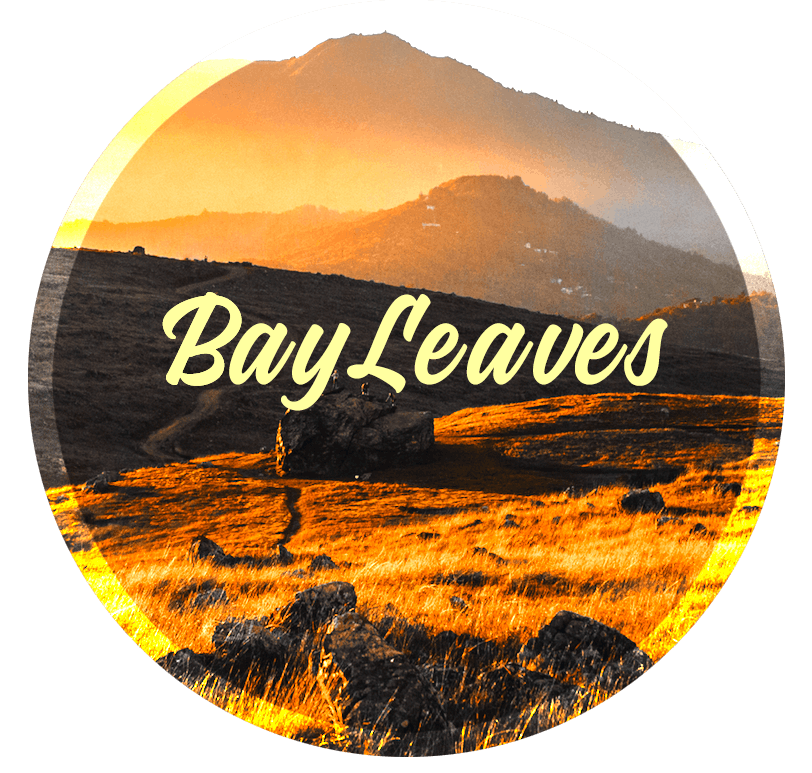 Bay Leaves logo - Cannabis delivery service in Novato