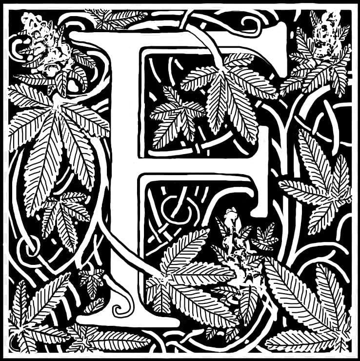 Fleet Flower storefront banner - recreational marijuana delivery