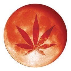 Red Moon Delivery logo - Cannabis delivery service in Sun Valley