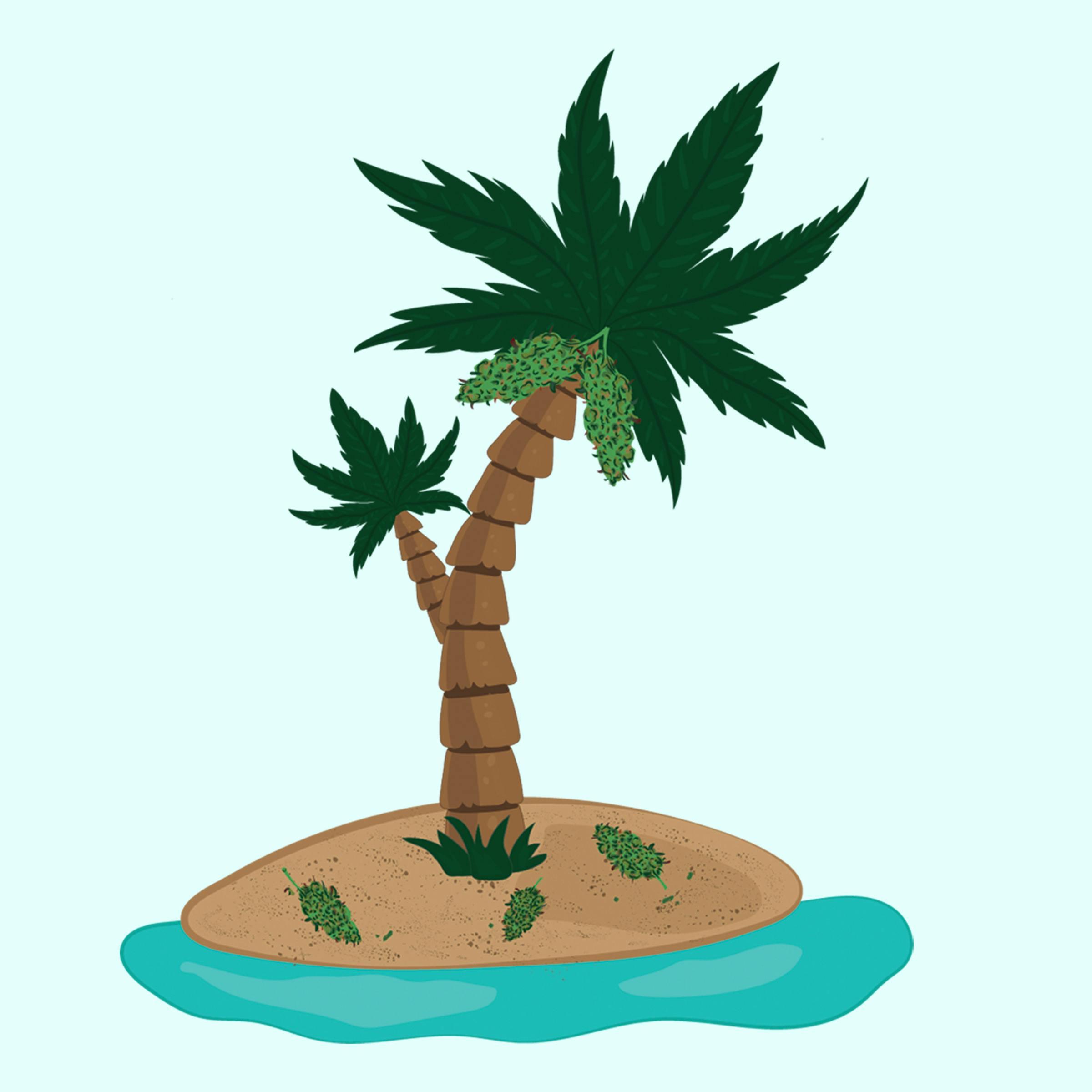 Tree Talk - Elk Grove storefront banner - recreational marijuana delivery