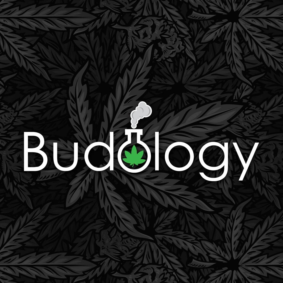 Budology - Delivery storefront banner - recreational marijuana delivery