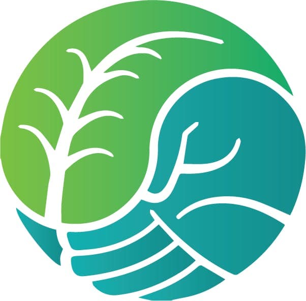 Indico logo - Cannabis delivery service in Plymouth