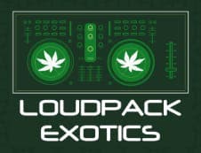 Loudpack Exotics- Delivery Syracuse NY logo - Cannabis delivery service in Johnson City