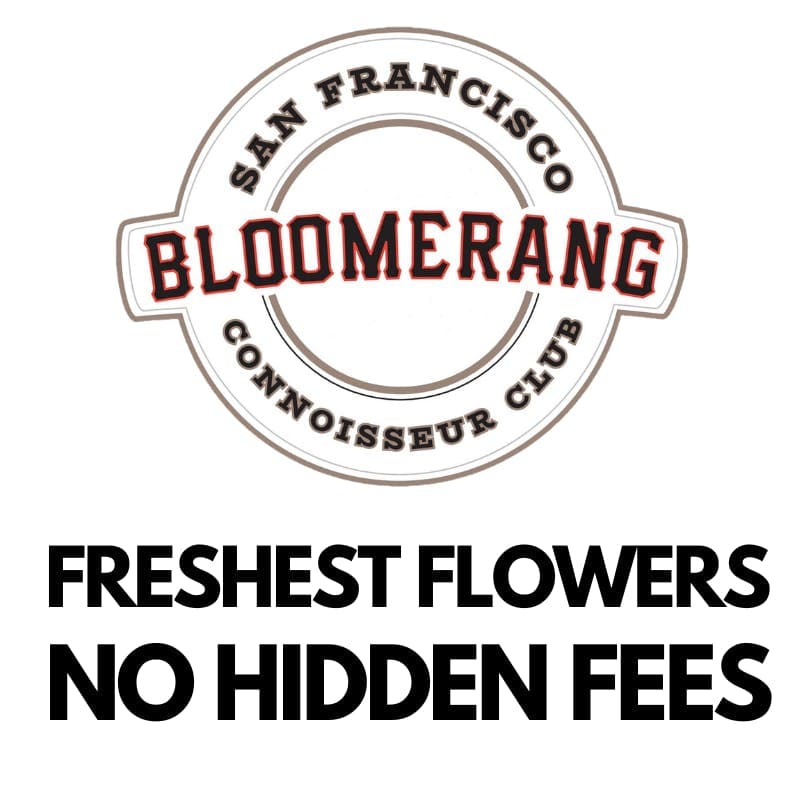 Bloomerang storefront banner - recreational marijuana delivery