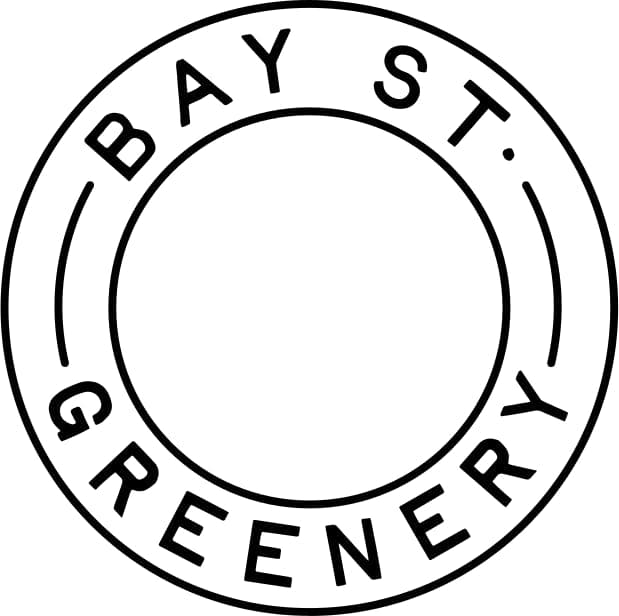 Bay Street Greenery logo - Cannabis delivery service in Hackensack