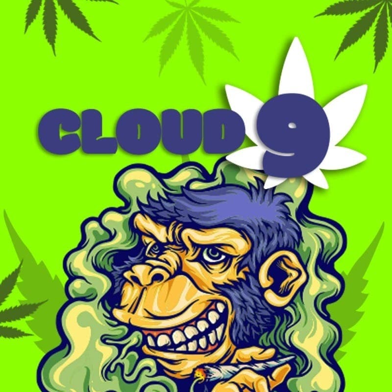 Cloud 9 storefront banner - recreational marijuana delivery