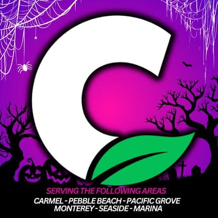 Cannarey Delivery - Monterey storefront banner - recreational marijuana delivery